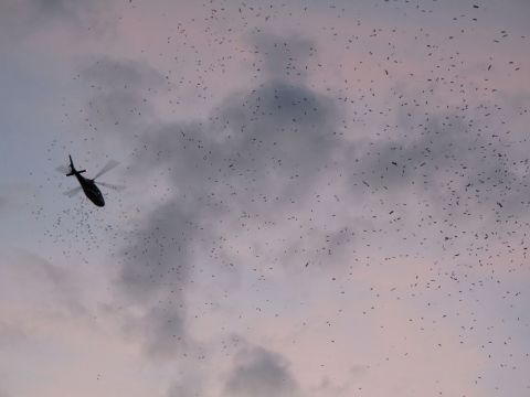 Berlin-Poetry-Bombing